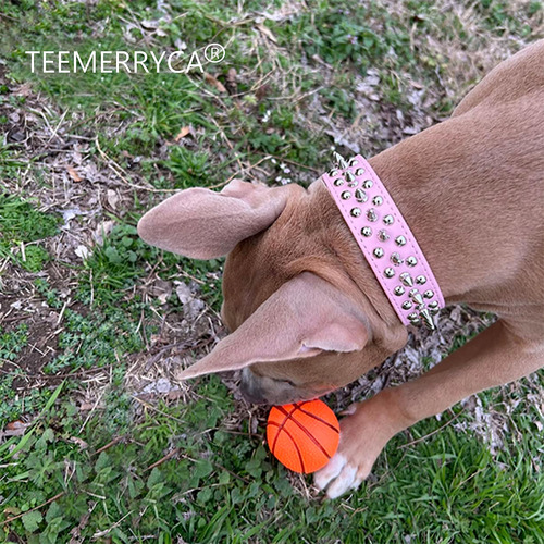 Collar Para Perro Teemerryca Ajustable De Piel Con Tachuelas