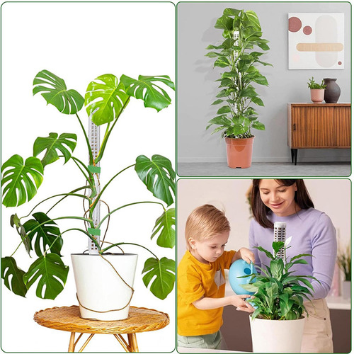 Poste De Para Plantas Soporte De Plantas Monstera Con