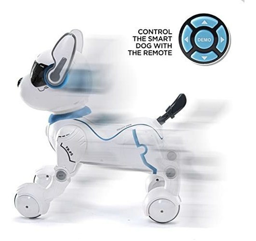 Robot De Control Remoto Para Perros Con Función Táctil Y Con