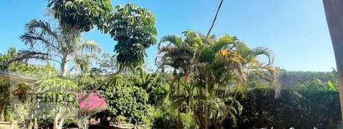Chácara Com 6 Dormitórios À Venda, 6000 M² Por R$ 530.000 - Cocuera - Mogi Das Cruzes/sp - Ch0036