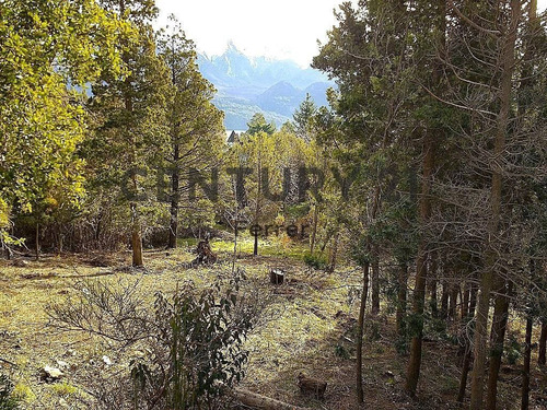 Imagen 12 de 12 de Lote En Venta Bariloche - Villa Lago Gutiérrez Id: 3150