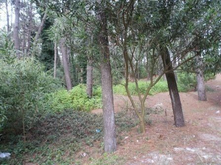 Imagen 2 de 2 de Terreno En Venta En Mar Azul