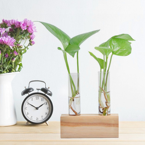 Tubo De Ensayo De Vidrio Maceta Planta Hidropónica Florero