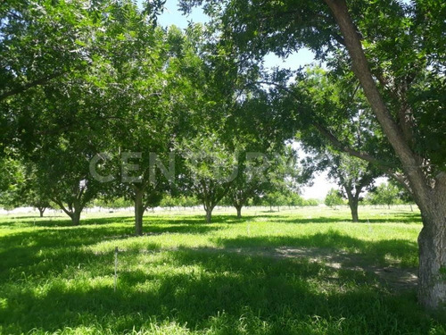 Rancho En Venta En Coyame Chihuahua