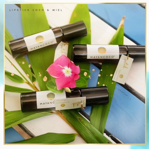 Lipstick De Coco Y Miel Bálsamo Labial Natural Y Orgánico