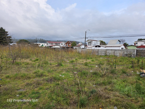 Sitio De 1.118 M2, Para Comercio Y Habitación Lomas Colorada