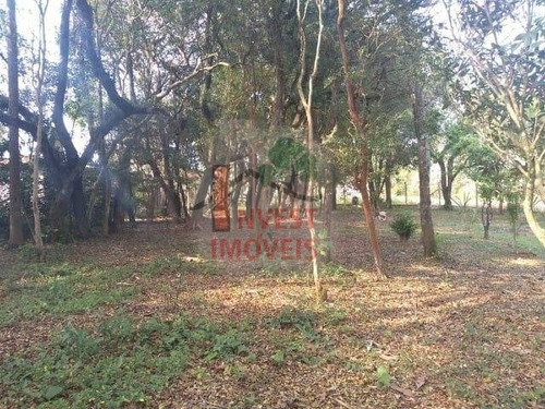 Imagem 2 de 7 de Terreno - Ref: 4996 - V-4996