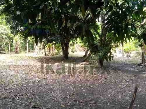 Imagen 7 de 16 de Venta De Terreno 690.51 M² Colonia Gabino Gonzalez Álamo Veracruz. Ubicado En Avenida Principal J.l. Garizurieta Colonia Gabino Gonzalez En El Municipio De Álamo Veracruz, Cuenta Con Una Superficie P