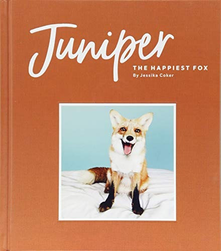 Juniper The Happiest Fox