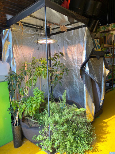 Venta Fondo De Comercio Growshop Tigre Inversion