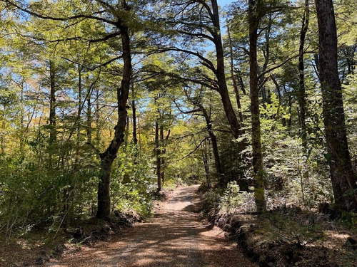 Precio Rebajado Cerca De Pucón Hermosas Parcelas De Montaña