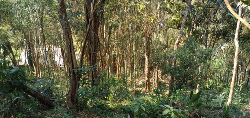 Imagem 5 de 15 de Lote / Terreno Em Nogueira - Petrópolis - 5008