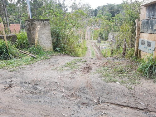 Imagem 11 de 28 de Terreno - Te00030 - 68403756