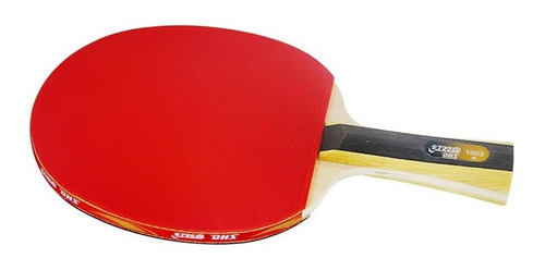 Paleta de ping pong DHS 1002 negra y roja FL (Cóncavo)