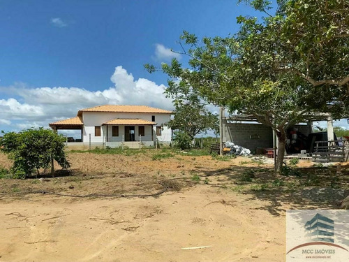 Imagem 7 de 10 de Granja A Venda Em Macaíba