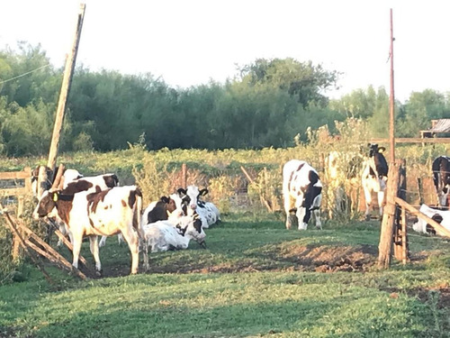 Imagen 18 de 30 de Campo De 173 Hectáreas - Gral. Las Heras - Buenos Aires