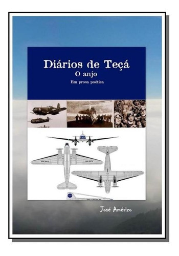 Os Diarios De Teca, O Anjo