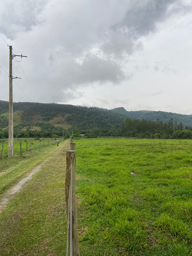 Imagem 5 de 14 de S01- 1.000m² Apenas 49.990 /100% Plano