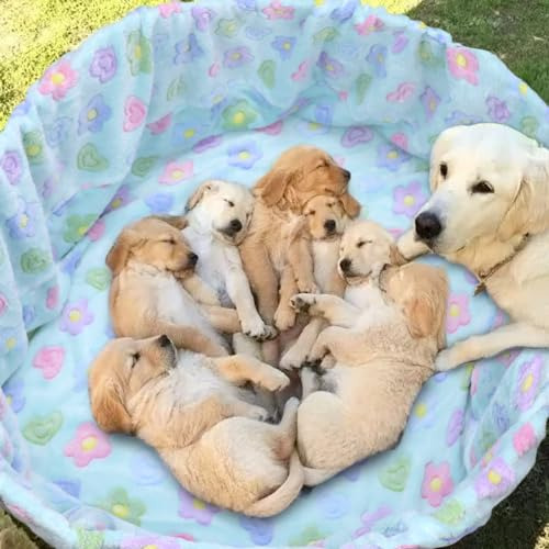 Funda Para Caja De Parto De Perro Para Cachorros