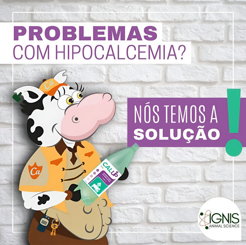 Kit C/08 Cal Up Cálcio Oral P/ Bovinos - Ignis/ibasa 850ml