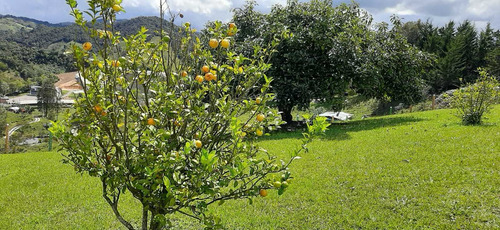 Imagen 24 de 28 de Hermosa Finca En Venta Marinilla