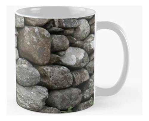 Taza X4 Piedra Seca Calidad Premium