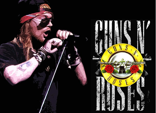 Pôster Decorativo Guns N Roses Diversos Modelos 85x55cm