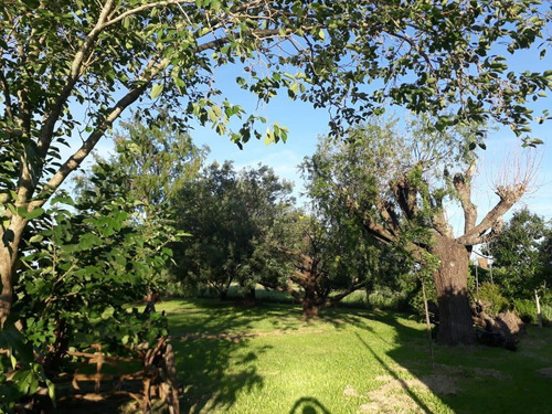 Imagen 6 de 11 de Casa - Arroyo Aguiar
