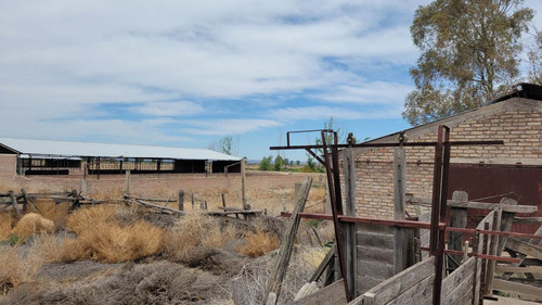 Venta Finca 51ha Con Dos Pozos Lujan