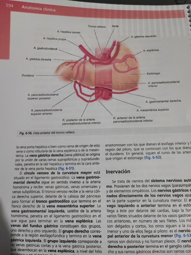 Anatomía Clínica Pró 2da Ed Full Color A4