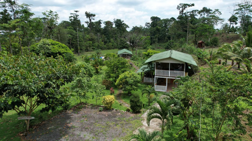 Propiedad En Bella Vista De Guápiles 