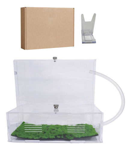 Ants Footsteps Ant Farm Nest Para Hormigas Vivas Kit