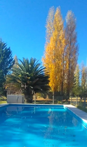 Imagen 12 de 13 de Alquiler Temporal Casa Quinta Cabaña C Pileta Maipú Mendoza
