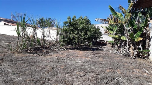 Imagem 19 de 29 de Chácaras À Venda Em Piracaia/sp - Compre O Seu Chácaras Aqui! - 1416600