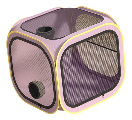 Secador De Pelo Para Perros Y Gatos, Habitación Limpia Y De