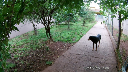 Casa - Venda - Bairro Do Poste - Cod. 7025 - V7025