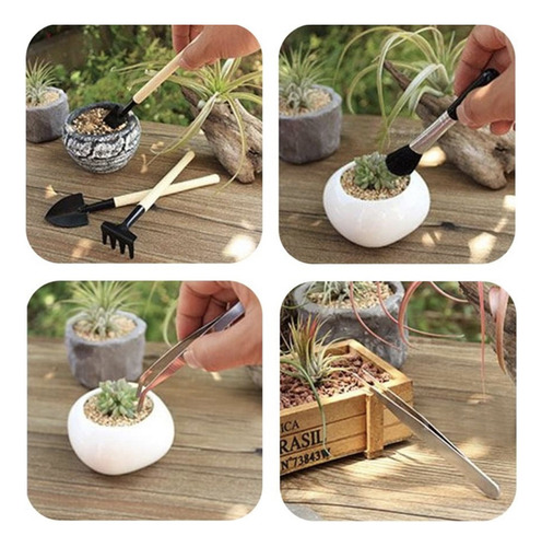 Juego De Herramientas De Plantación Fairy Miniature Transpla
