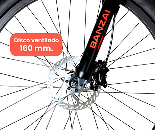 Bicicleta Montaña Banzai Aluminio R29 Frenos Hidráulicos Msi