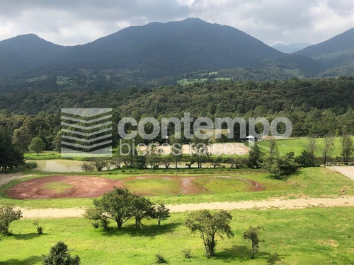 Imagen 18 de 24 de Venta Loft - Club Hípico Los Monteros - Jilotzingo - Estado