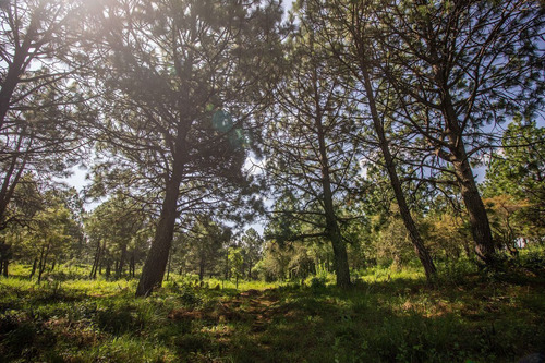 Terreno En Venta En Real De Encinos, Tapalpa, Jalisco.