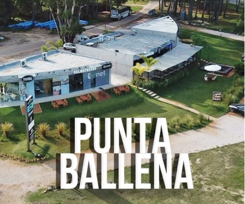 Local En Alquiler En Punta Ballena