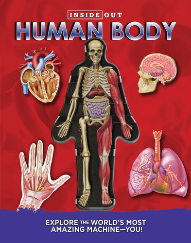 Inside Out Human Body: Explore The World's Most Amazing Mach