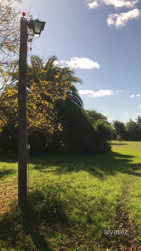 Imagen 12 de 14 de Venta Finca Uruguay