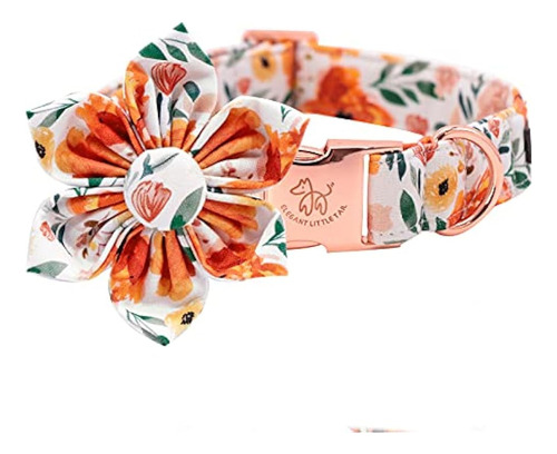 Elegante Cola Pequeña Floral Girl Dog Collar Para Perros Fem