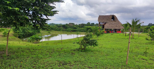 Hermosa Finca En Venta En  galapa Atlantico