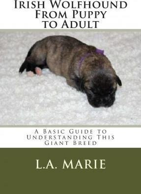 Irish Wolfhound From Puppy To Adult - L A Marie