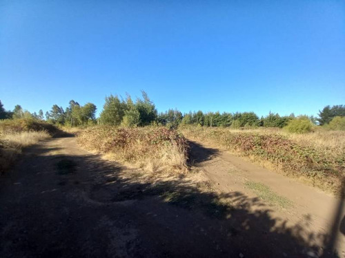 Los Espinos Km 11 Camino A Coihueco