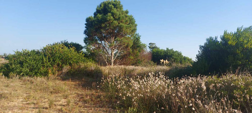 Terreno En Venta A Pasos Terminal Punta Del Diablo