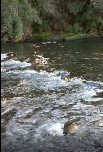 Imagen 12 de 23 de Agrícola En Venta En Puerto Montt