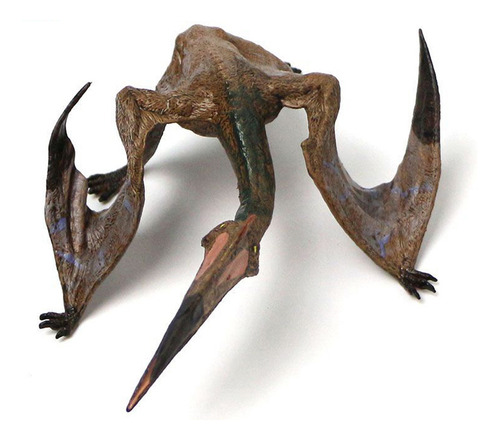 Pterosaurios, Dinosaurios Voladores, Juguete De Simulación D
